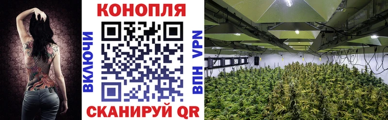 Бошки Шишки White Widow  Андреаполь 